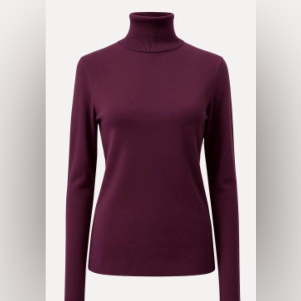 Chico's Rich Plum Long Sleeve Turtleneck